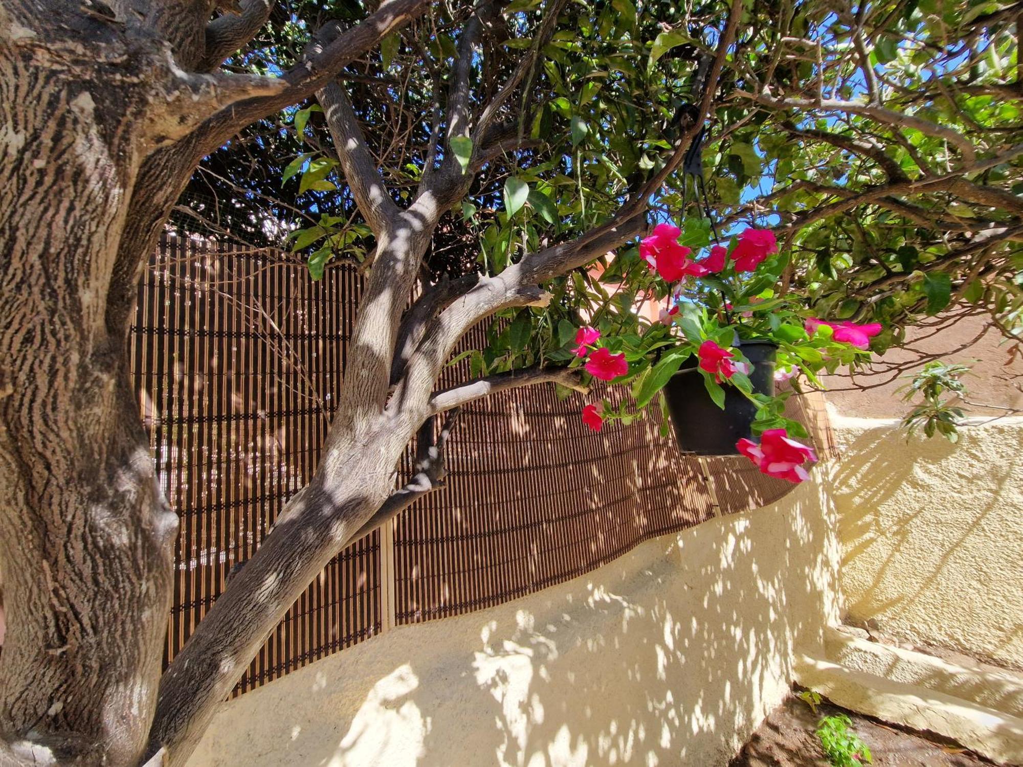 La Maddalena Holiday Home Exterior photo